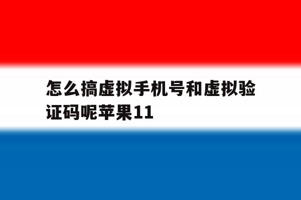 怎么搞虚拟手机号和虚拟验证码呢苹果11的简单介绍 怎么搞虚拟手机号和虚拟验证码呢苹果11的简单介绍