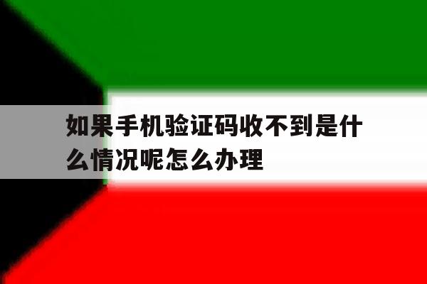 如果手机验证码收不到是什么情况呢怎么办理的简单介绍 如果手机验证码收不到是什么情况呢怎么办理的简单介绍