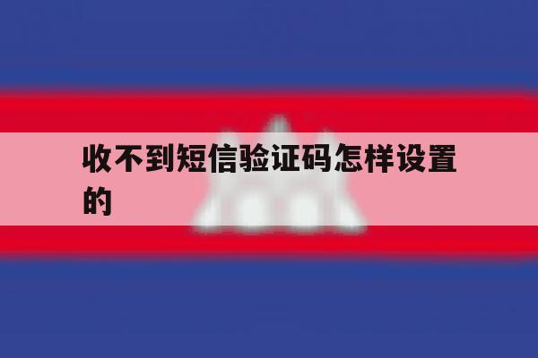 收不到短信验证码怎样设置的 收不到短信验证码怎样设置的