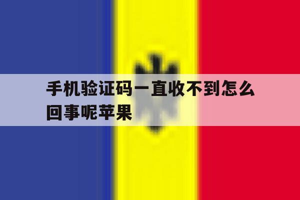 手机验证码一直收不到怎么回事呢苹果 手机验证码一直收不到怎么回事呢苹果