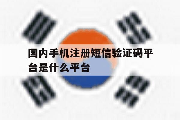 国内手机注册短信验证码平台是什么平台
