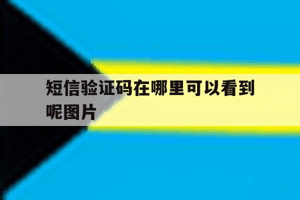 短信验证码在哪里可以看到呢图片 短信验证码在哪里可以看到呢图片
