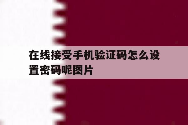 在线接受手机验证码怎么设置密码呢图片的简单介绍 在线接受手机验证码怎么设置密码呢图片的简单介绍