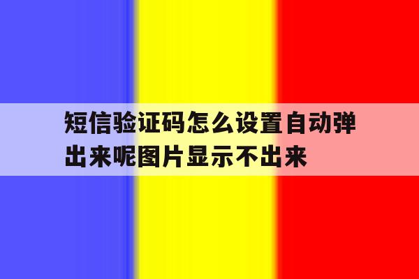 关于短信验证码怎么设置自动弹出来呢图片显示不出来的信息 关于短信验证码怎么设置自动弹出来呢图片显示不出来的信息