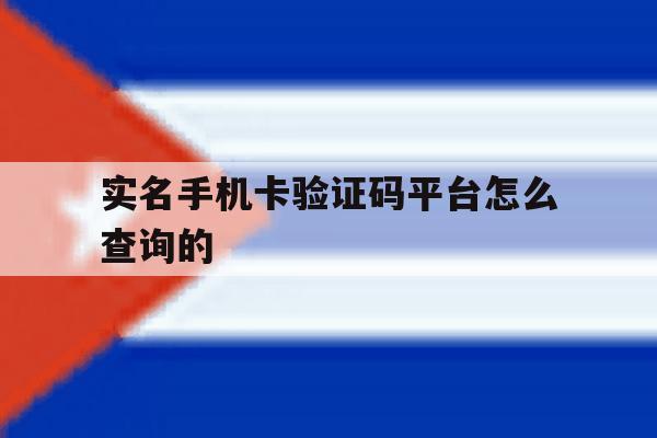 实名手机卡验证码平台怎么查询的 实名手机卡验证码平台怎么查询的